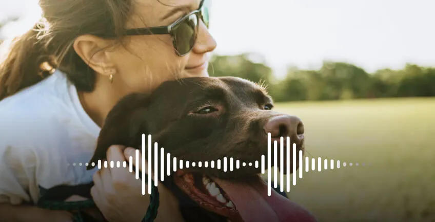 Wavibly Geschenkidee Bellen vom Hund verewigen